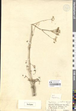 LE 01065758