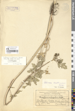 LE 01065761
