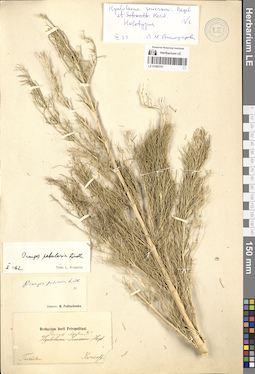 LE 01065767