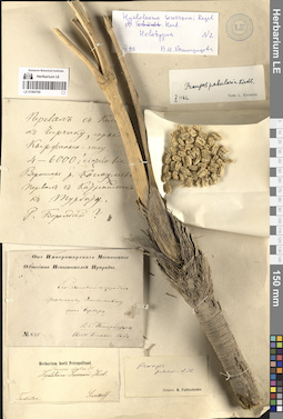 LE 01065769