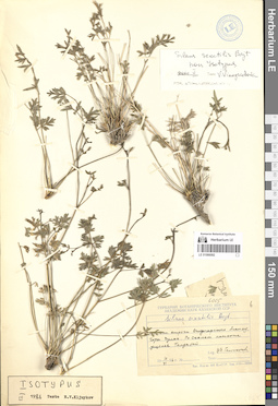 LE 01066092