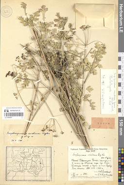 LE 01066097