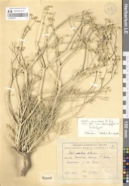 LE 01065731