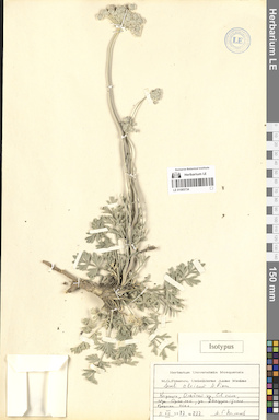 LE 01065734