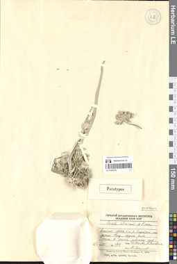 LE 01065736
