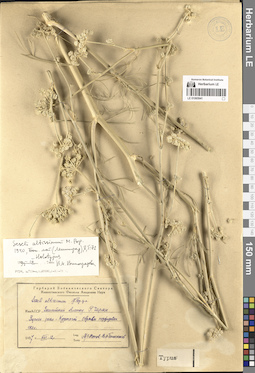 LE 01065941