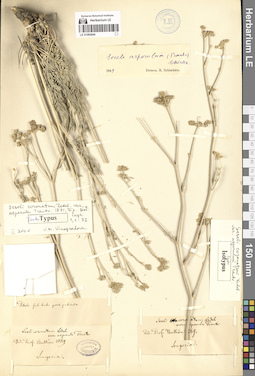 LE 01065944