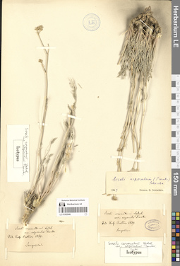 LE 01065946