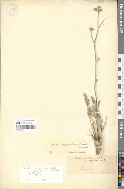 LE 01065947