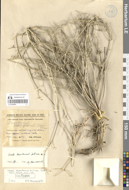 LE 01065954