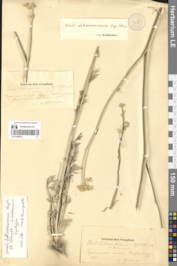 LE 01065973