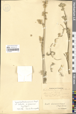 LE 01065976