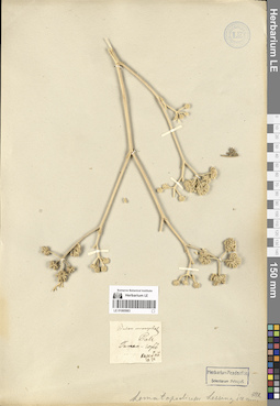LE 01065983