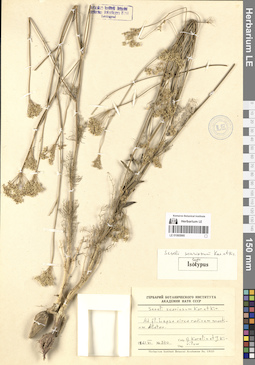 LE 01065995