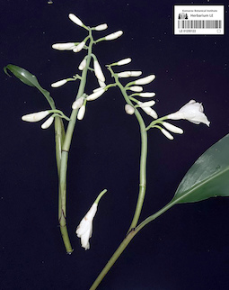 LE 01255122