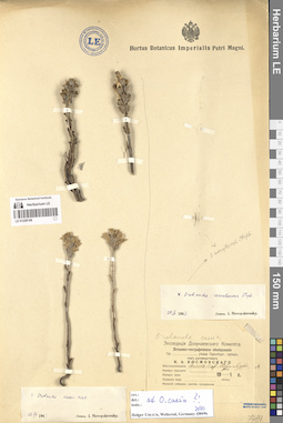 LE 01258108