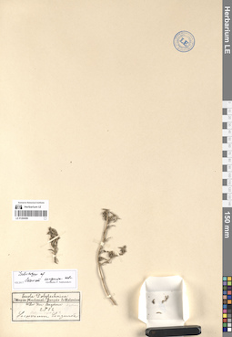 LE 01284086