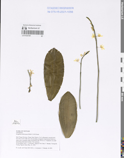 LE 01232128