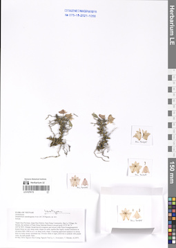 LE 01276172