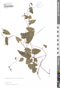 LE 01119157