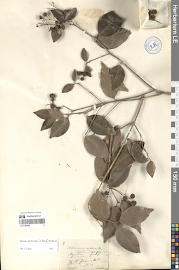 LE 01284040