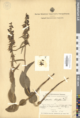 LE 01030305
