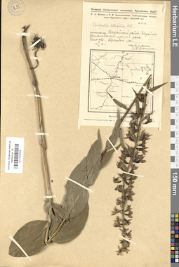 LE 01030306
