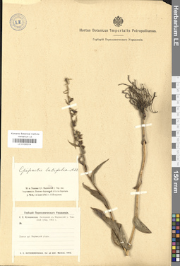 LE 01030314