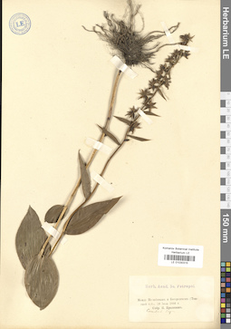 LE 01030315