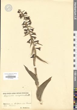 LE 01030344