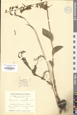 LE 01030352