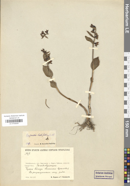 LE 01030357
