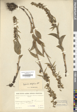 LE 01030358