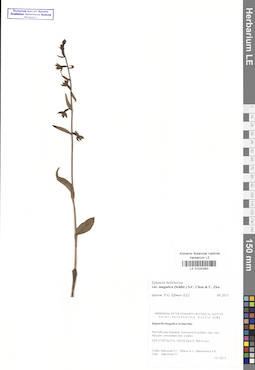 LE 01030363
