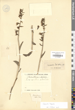 LE 01030365