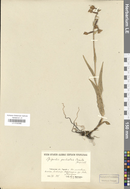 LE 01030368