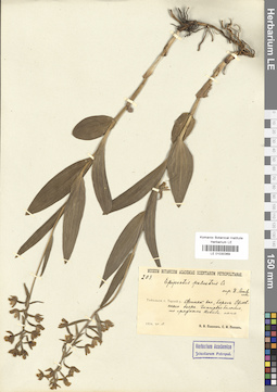LE 01030369
