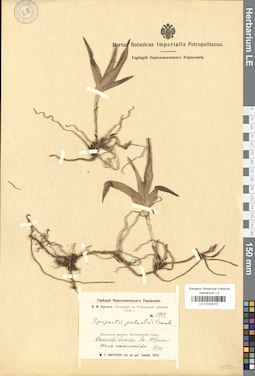 LE 01030372