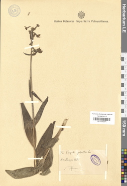 LE 01030374
