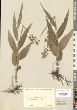 LE 01030376