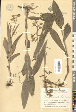 LE 01030377