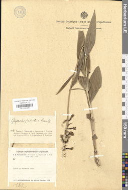 LE 01030388