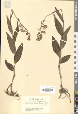 LE 01030401