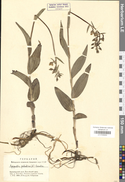 LE 01030402