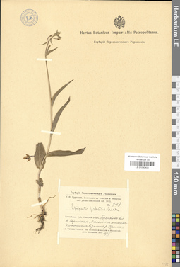 LE 01030404