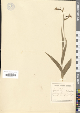 LE 01030405