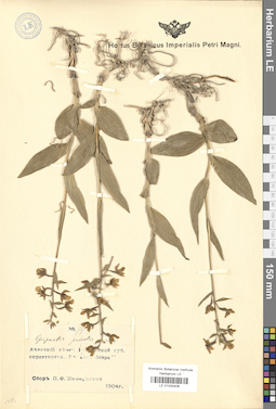 LE 01030406