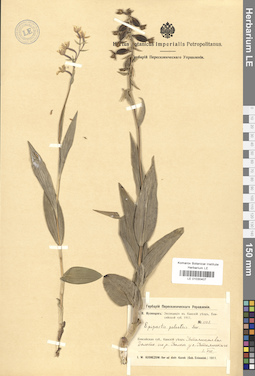 LE 01030407