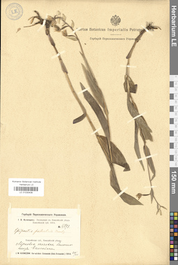 LE 01030408