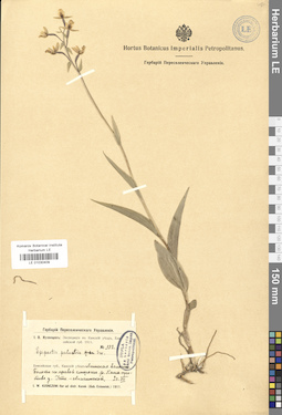 LE 01030409